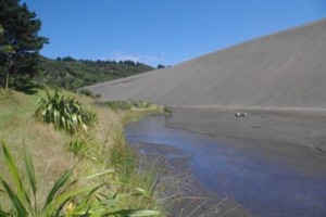 Dunes and stream